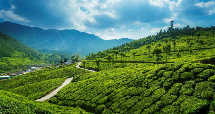 Kerala Hill Station Tour, Best Price For 6 Days South India Tour 